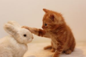 気になる送り仮名。「承ます」