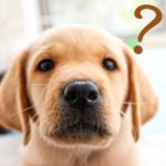 「わかりやすい」話だけで、講義内容が本当に身に付くとおもいますか?