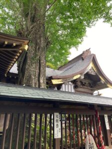 麻賀多神社