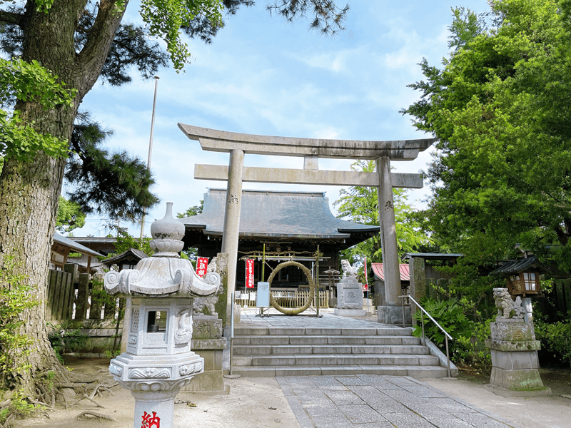金刀比羅神社の茅の輪