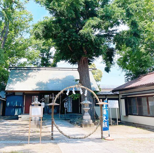 蘇我比咩神社の茅の輪