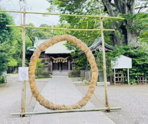 椎津八坂神社　茅の輪