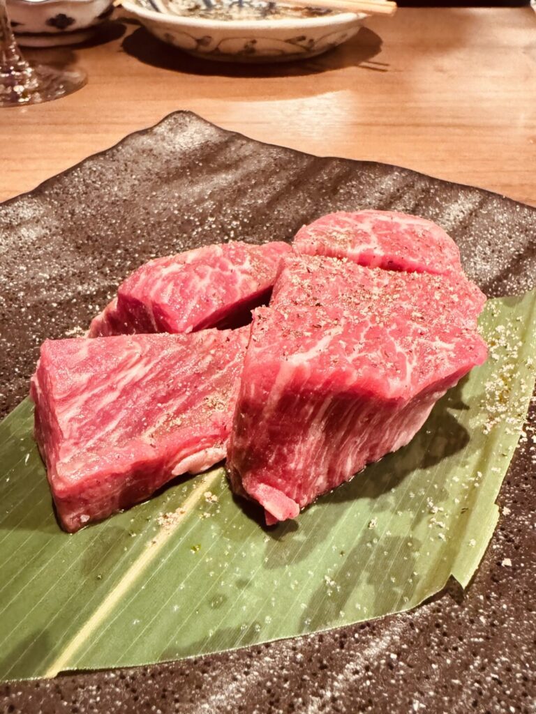 ヒレ肉の宝山