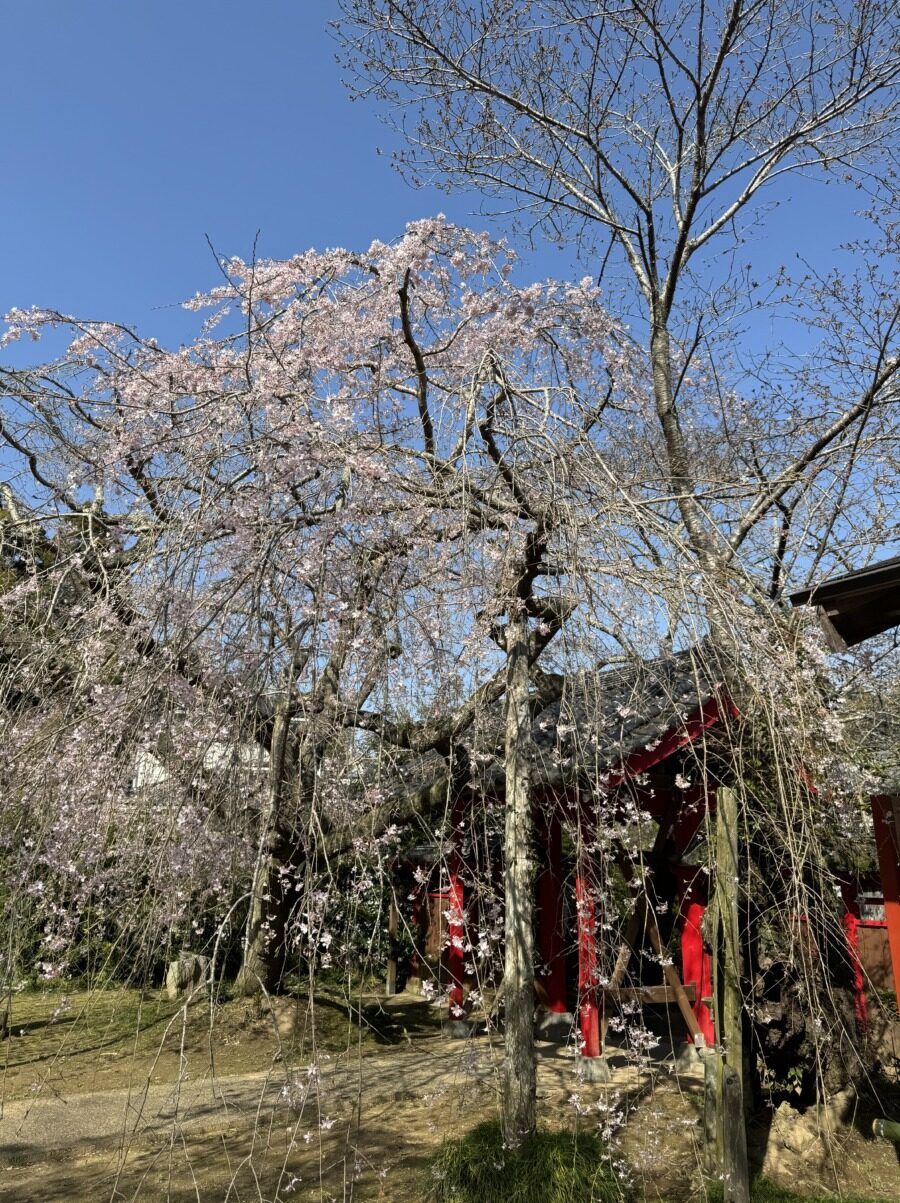 願成就寺