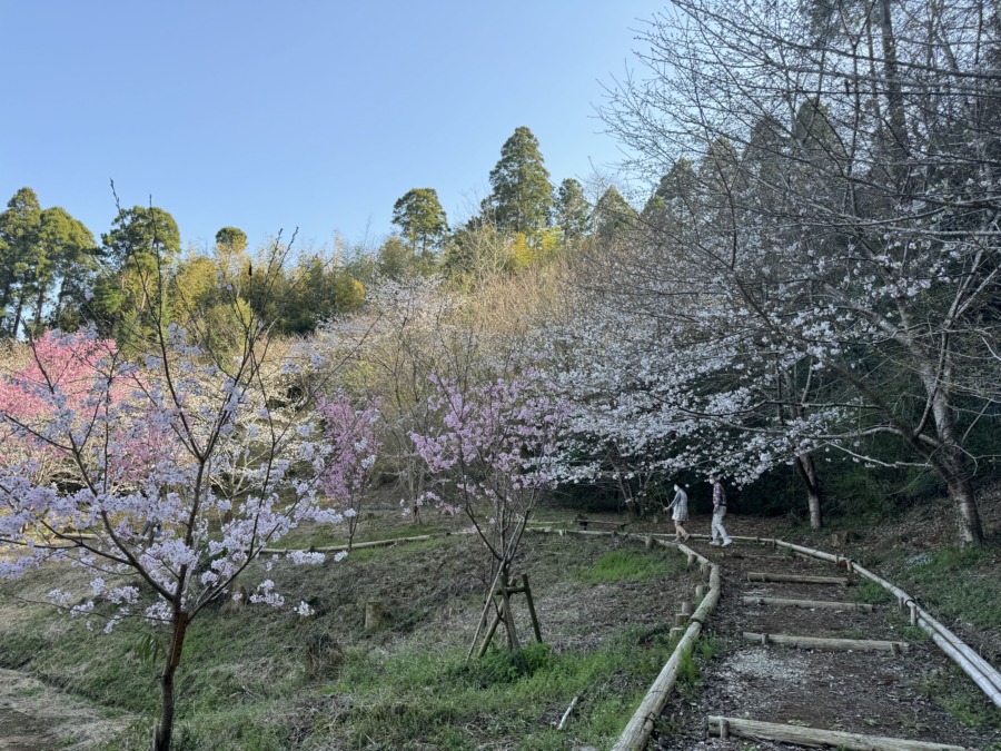 願成就寺