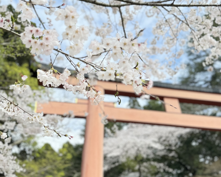 香取神宮