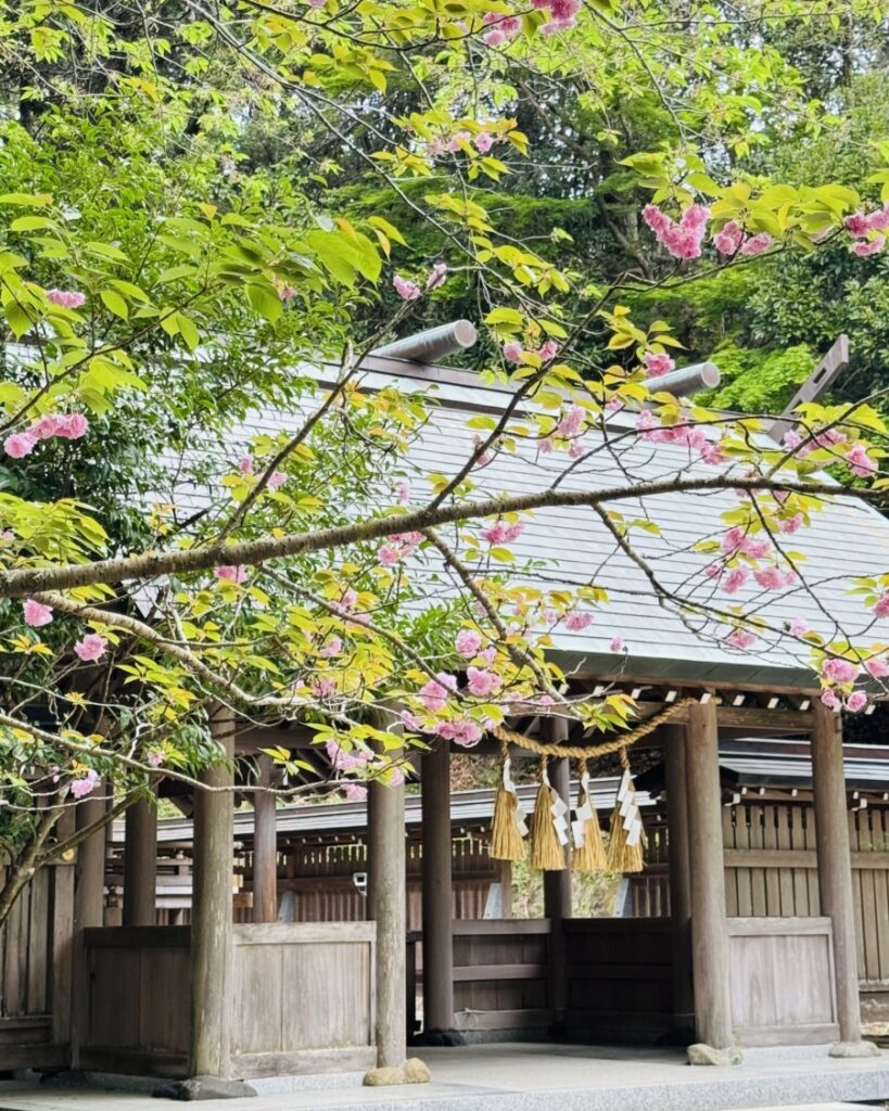 安房神社