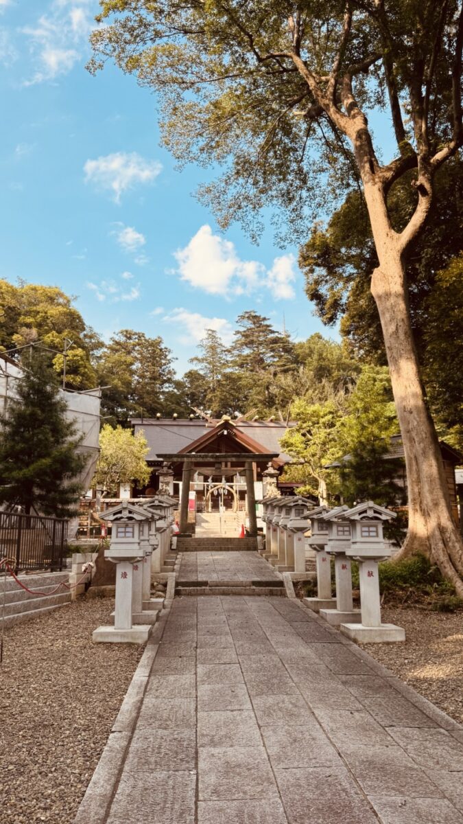柏神明社の茅の輪