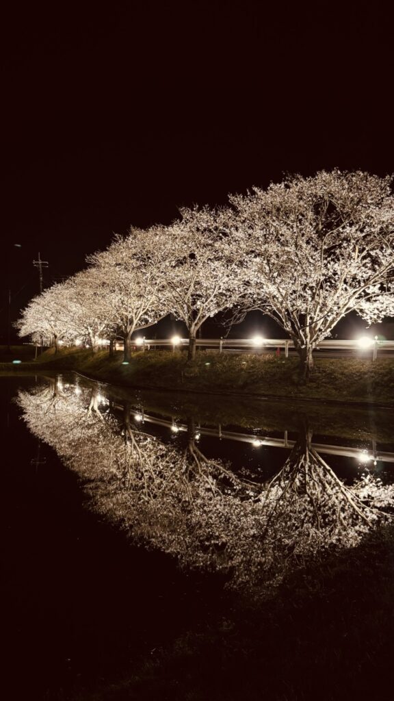 札森さくら街道