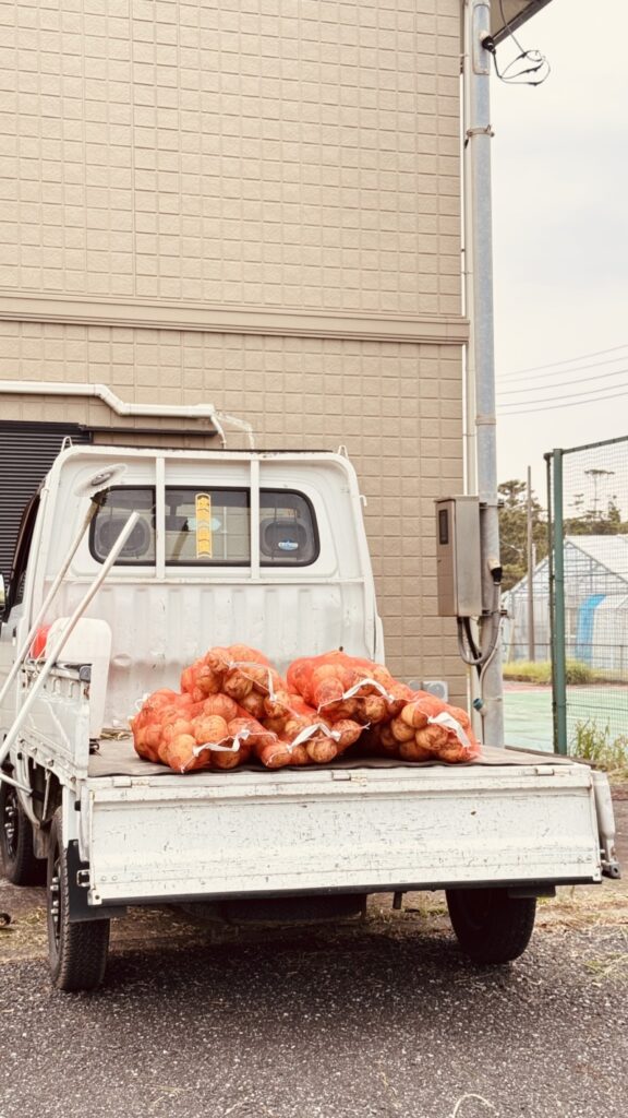 白子のたまねぎ